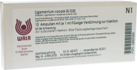 LIGAMENTUM VOCALE GL D 30 Ampullen