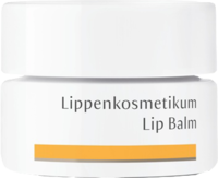 DR.HAUSCHKA Lippenkosmetikum