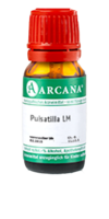 PULSATILLA LM 500 Dilution